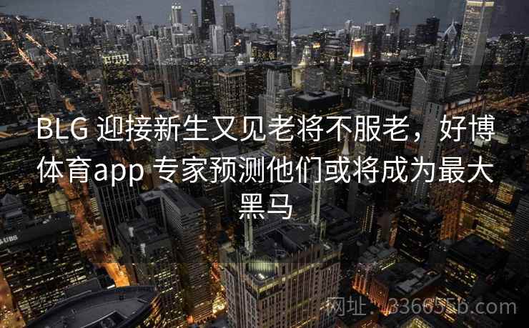 BLG 迎接新生又见老将不服老,好博体育app 专家预测他们或将成为最大黑马 BLG 迎接新生又见老将不服老,好博体育app 专家预测他们或将成为最大黑马