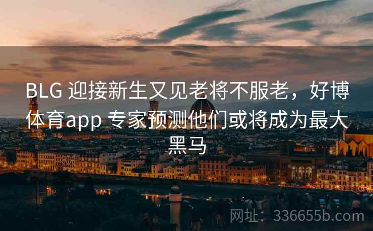 BLG 迎接新生又见老将不服老，好博体育app 专家预测他们或将成为最大黑马